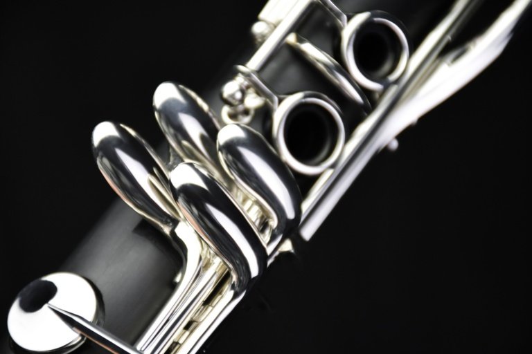 Close-up_PCL-321_m (9)